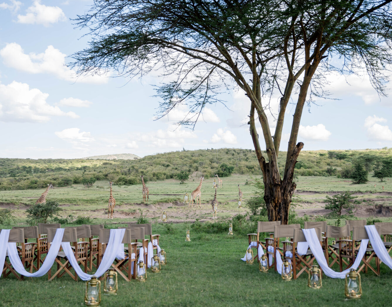 Safari Weddings & Celebrations